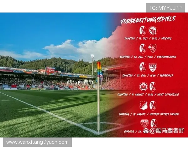 足球比分数据分析平台，提供详细的比赛统计和历史比分，帮助用户深入了解球队表现和比赛走势